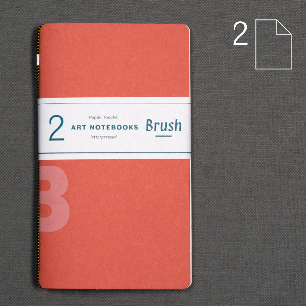 Brush: set of 2 notebooks